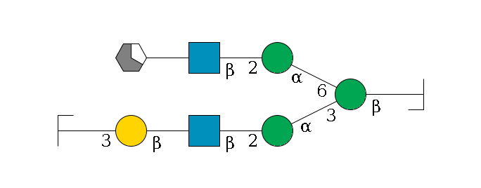 b1D-GlcNAc,p/#bcleavage--4b1D-Man,p(--3a1D-Man,p--2b1D-GlcNAc,p--?b1D-Gal,p--3a2D-NeuAc,p/#zcleavage)--6a1D-Man,p--2b1D-GlcNAc,p--?b1D-Gal,p/#xcleavage_1_5$MONO,Und,-H,0,redEnd