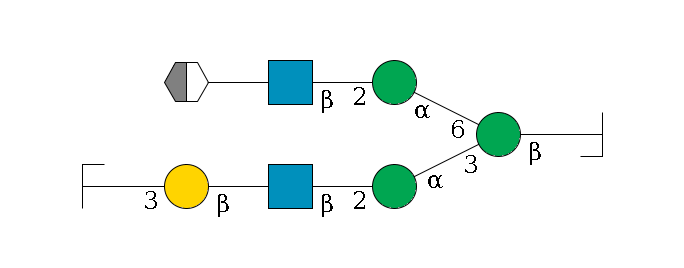 b1D-GlcNAc,p/#bcleavage--4b1D-Man,p(--3a1D-Man,p--2b1D-GlcNAc,p--?b1D-Gal,p--3a2D-NeuAc,p/#zcleavage)--6a1D-Man,p--2b1D-GlcNAc,p--?b1D-Gal,p/#xcleavage_2_5$MONO,Und,-2H,0,redEnd
