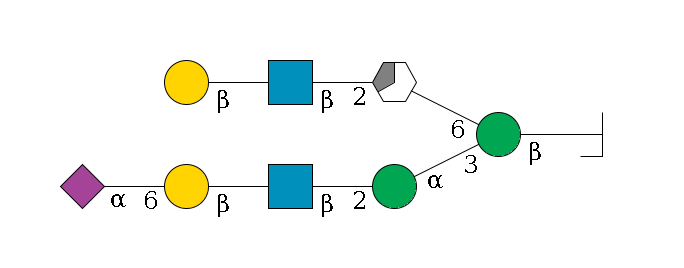 b1D-GlcNAc,p/#bcleavage--4b1D-Man,p(--3a1D-Man,p--2b1D-GlcNAc,p--?b1D-Gal,p--6a2D-NeuAc,p)--6a1D-Man,p/#xcleavage_3_5--2b1D-GlcNAc,p--?b1D-Gal,p$MONO,Und,-2H,0,redEnd