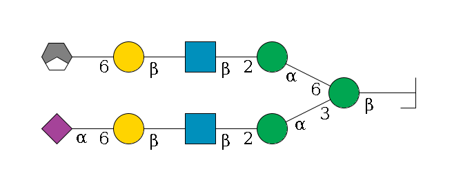 b1D-GlcNAc,p/#bcleavage--4b1D-Man,p(--3a1D-Man,p--2b1D-GlcNAc,p--?b1D-Gal,p--6a2D-NeuAc,p)--6a1D-Man,p--2b1D-GlcNAc,p--?b1D-Gal,p--6a2D-NeuAc,p/#xcleavage_1_3$MONO,Und,-H,0,redEnd