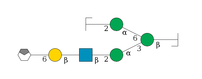 b1D-GlcNAc,p/#bcleavage--4b1D-Man,p(--3a1D-Man,p--2b1D-GlcNAc,p--?b1D-Gal,p--6a2D-NeuAc,p/#xcleavage_0_4)--6a1D-Man,p--2b1D-GlcNAc,p/#zcleavage$MONO,Und,-H,0,redEnd