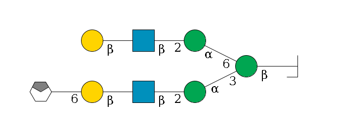 b1D-GlcNAc,p/#bcleavage--4b1D-Man,p(--3a1D-Man,p--2b1D-GlcNAc,p--?b1D-Gal,p--6a2D-NeuAc,p/#xcleavage_0_4)--6a1D-Man,p--2b1D-GlcNAc,p--?b1D-Gal,p$MONO,Und,-H,0,redEnd