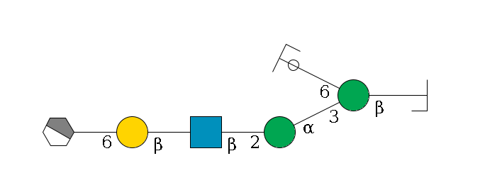 b1D-GlcNAc,p/#bcleavage--4b1D-Man,p(--3a1D-Man,p--2b1D-GlcNAc,p--?b1D-Gal,p--6a2D-NeuAc,p/#xcleavage_1_4)--6a1D-Man,p/#ycleavage$MONO,Und,-H,0,redEnd