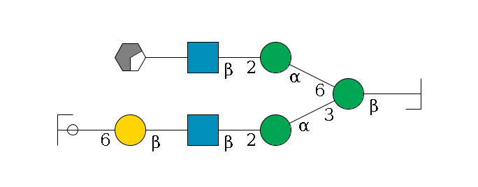 b1D-GlcNAc,p/#bcleavage--4b1D-Man,p(--3a1D-Man,p--2b1D-GlcNAc,p--?b1D-Gal,p--6a2D-NeuAc,p/#ycleavage)--6a1D-Man,p--2b1D-GlcNAc,p--?b1D-Gal,p/#xcleavage_0_2$MONO,Und,-H,0,redEnd