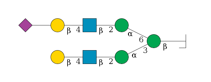 b1D-GlcNAc,p/#bcleavage--4b1D-Man,p(--3a1D-Man,p--2b1D-GlcNAc,p--4b1D-Gal,p)--6a1D-Man,p--2b1D-GlcNAc,p--4b1D-Gal,p--??2D-NeuAc,p$MONO,Und,-2H,0,redEnd