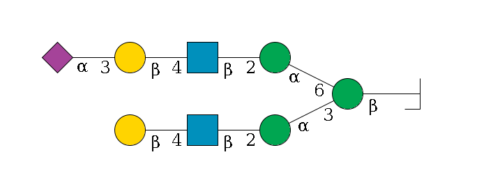 b1D-GlcNAc,p/#bcleavage--4b1D-Man,p(--3a1D-Man,p--2b1D-GlcNAc,p--4b1D-Gal,p)--6a1D-Man,p--2b1D-GlcNAc,p--4b1D-Gal,p--3a2D-NeuAc,p$MONO,Und,-H,0,redEnd