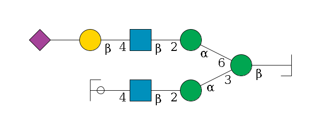b1D-GlcNAc,p/#bcleavage--4b1D-Man,p(--3a1D-Man,p--2b1D-GlcNAc,p--4b1D-Gal,p/#ycleavage)--6a1D-Man,p--2b1D-GlcNAc,p--4b1D-Gal,p--??2D-NeuAc,p$MONO,Und,-2H,0,redEnd