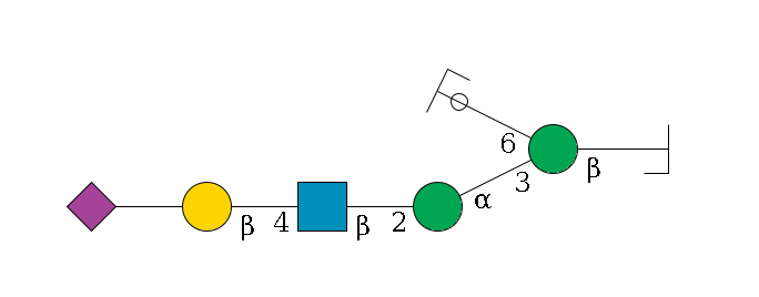 b1D-GlcNAc,p/#bcleavage--4b1D-Man,p(--3a1D-Man,p--2b1D-GlcNAc,p--4b1D-Gal,p--??2D-NeuAc,p)--6a1D-Man,p/#ycleavage$MONO,Und,-H,0,redEnd