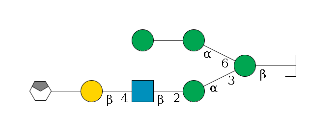 b1D-GlcNAc,p/#bcleavage--4b1D-Man,p(--3a1D-Man,p--2b1D-GlcNAc,p--4b1D-Gal,p--??2D-NeuAc,p/#xcleavage_0_4)--6a1D-Man,p--??1D-Man,p$MONO,Und,-H,0,redEnd