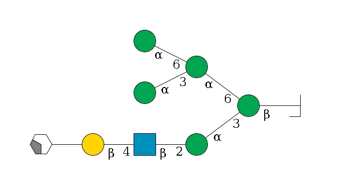 b1D-GlcNAc,p/#bcleavage--4b1D-Man,p(--3a1D-Man,p--2b1D-GlcNAc,p--4b1D-Gal,p--??2D-NeuAc,p/#xcleavage_2_4)--6a1D-Man,p(--3a1D-Man,p)--6a1D-Man,p$MONO,Und,-2H,0,redEnd