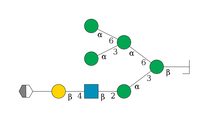 b1D-GlcNAc,p/#bcleavage--4b1D-Man,p(--3a1D-Man,p--2b1D-GlcNAc,p--4b1D-Gal,p--??2D-NeuAc,p/#xcleavage_2_5)--6a1D-Man,p(--3a1D-Man,p)--6a1D-Man,p$MONO,Und,-2H,0,redEnd