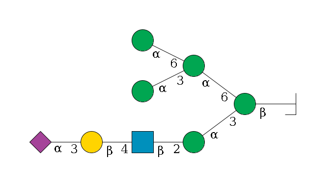 b1D-GlcNAc,p/#bcleavage--4b1D-Man,p(--3a1D-Man,p--2b1D-GlcNAc,p--4b1D-Gal,p--3a2D-NeuAc,p)--6a1D-Man,p(--3a1D-Man,p)--6a1D-Man,p$MONO,Und,-2H,0,redEnd