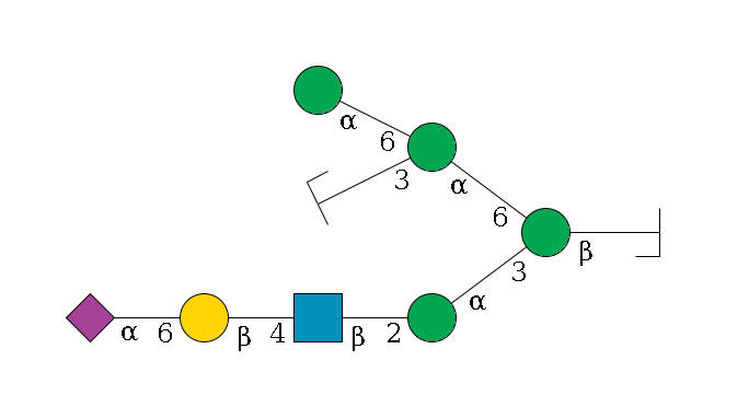 b1D-GlcNAc,p/#bcleavage--4b1D-Man,p(--3a1D-Man,p--2b1D-GlcNAc,p--4b1D-Gal,p--6a2D-NeuAc,p)--6a1D-Man,p(--3a1D-Man,p/#zcleavage)--6a1D-Man,p$MONO,Und,-2H,0,redEnd