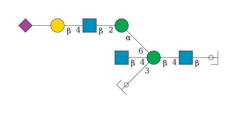 b1D-GlcNAc,p/#ccleavage--4b1D-GlcNAc,p--4b1D-Man,p((--3a1D-Man,p/#ycleavage)--4b1D-GlcNAc,p)--6a1D-Man,p--2b1D-GlcNAc,p--4b1D-Gal,p--??2D-NeuAc,p$MONO,Und,-2H,0,redEnd
