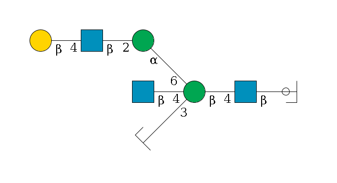 b1D-GlcNAc,p/#ccleavage--4b1D-GlcNAc,p--4b1D-Man,p((--3a1D-Man,p/#zcleavage)--4b1D-GlcNAc,p)--6a1D-Man,p--2b1D-GlcNAc,p--4b1D-Gal,p$MONO,Und,-H,0,redEnd