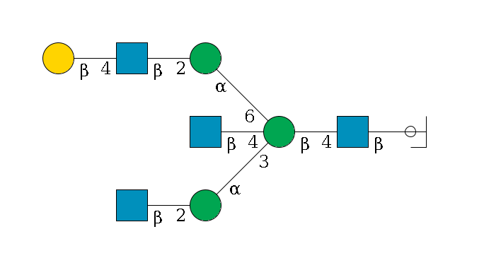 b1D-GlcNAc,p/#ccleavage--4b1D-GlcNAc,p--4b1D-Man,p((--3a1D-Man,p--2b1D-GlcNAc,p)--4b1D-GlcNAc,p)--6a1D-Man,p--2b1D-GlcNAc,p--4b1D-Gal,p$MONO,Und,-2H,0,redEnd
