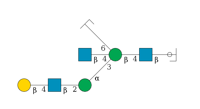 b1D-GlcNAc,p/#ccleavage--4b1D-GlcNAc,p--4b1D-Man,p((--3a1D-Man,p--2b1D-GlcNAc,p--4b1D-Gal,p)--4b1D-GlcNAc,p)--6a1D-Man,p/#zcleavage$MONO,Und,-H,0,redEnd