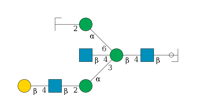 b1D-GlcNAc,p/#ccleavage--4b1D-GlcNAc,p--4b1D-Man,p((--3a1D-Man,p--2b1D-GlcNAc,p--4b1D-Gal,p)--4b1D-GlcNAc,p)--6a1D-Man,p--2b1D-GlcNAc,p/#zcleavage$MONO,Und,-H,0,redEnd