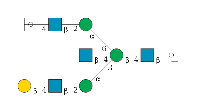b1D-GlcNAc,p/#ccleavage--4b1D-GlcNAc,p--4b1D-Man,p((--3a1D-Man,p--2b1D-GlcNAc,p--4b1D-Gal,p)--4b1D-GlcNAc,p)--6a1D-Man,p--2b1D-GlcNAc,p--4b1D-Gal,p/#ycleavage$MONO,Und,-2H,0,redEnd