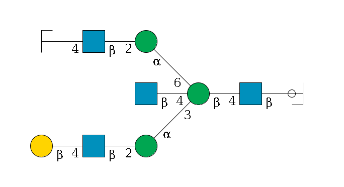 b1D-GlcNAc,p/#ccleavage--4b1D-GlcNAc,p--4b1D-Man,p((--3a1D-Man,p--2b1D-GlcNAc,p--4b1D-Gal,p)--4b1D-GlcNAc,p)--6a1D-Man,p--2b1D-GlcNAc,p--4b1D-Gal,p/#zcleavage$MONO,Und,-2H,0,redEnd