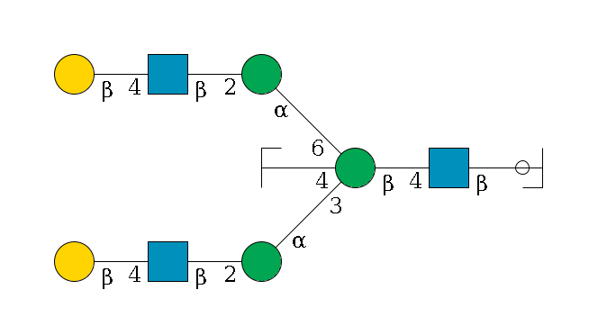b1D-GlcNAc,p/#ccleavage--4b1D-GlcNAc,p--4b1D-Man,p((--3a1D-Man,p--2b1D-GlcNAc,p--4b1D-Gal,p)--4b1D-GlcNAc,p/#zcleavage)--6a1D-Man,p--2b1D-GlcNAc,p--4b1D-Gal,p$MONO,Und,-2H,0,redEnd