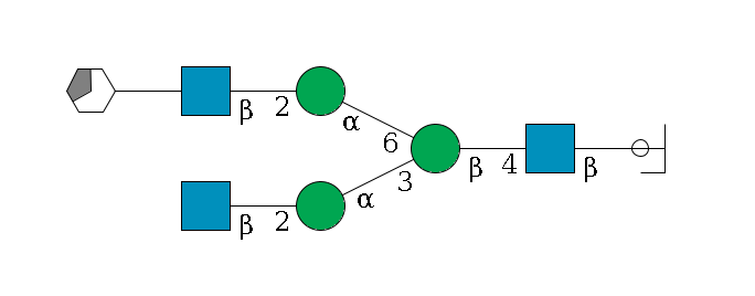 b1D-GlcNAc,p/#ccleavage--4b1D-GlcNAc,p--4b1D-Man,p(--3a1D-Man,p--2b1D-GlcNAc,p)--6a1D-Man,p--2b1D-GlcNAc,p--??1D-Gal,p/#xcleavage_3_5$MONO,Und,-2H,0,redEnd