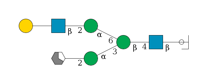 b1D-GlcNAc,p/#ccleavage--4b1D-GlcNAc,p--4b1D-Man,p(--3a1D-Man,p--2b1D-GlcNAc,p/#xcleavage_1_5)--6a1D-Man,p--2b1D-GlcNAc,p--??1D-Gal,p$MONO,Und,-H,0,redEnd