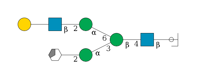 b1D-GlcNAc,p/#ccleavage--4b1D-GlcNAc,p--4b1D-Man,p(--3a1D-Man,p--2b1D-GlcNAc,p/#xcleavage_3_5)--6a1D-Man,p--2b1D-GlcNAc,p--??1D-Gal,p$MONO,Und,-2H,0,redEnd