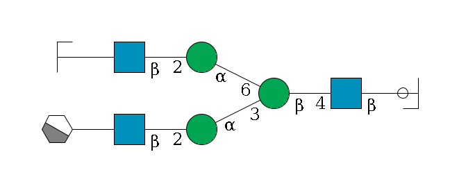 b1D-GlcNAc,p/#ccleavage--4b1D-GlcNAc,p--4b1D-Man,p(--3a1D-Man,p--2b1D-GlcNAc,p--?b1D-Gal,p/#xcleavage_1_4)--6a1D-Man,p--2b1D-GlcNAc,p--?b1D-Gal,p/#zcleavage$MONO,Und,-H,0,redEnd