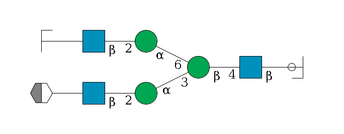 b1D-GlcNAc,p/#ccleavage--4b1D-GlcNAc,p--4b1D-Man,p(--3a1D-Man,p--2b1D-GlcNAc,p--?b1D-Gal,p/#xcleavage_2_5)--6a1D-Man,p--2b1D-GlcNAc,p--?b1D-Gal,p/#zcleavage$MONO,Und,-H,0,redEnd