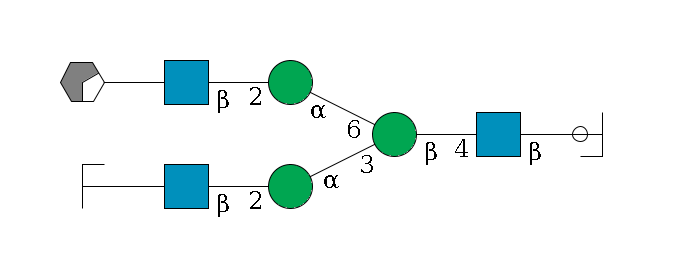 b1D-GlcNAc,p/#ccleavage--4b1D-GlcNAc,p--4b1D-Man,p(--3a1D-Man,p--2b1D-GlcNAc,p--?b1D-Gal,p/#zcleavage)--6a1D-Man,p--2b1D-GlcNAc,p--?b1D-Gal,p/#xcleavage_0_2$MONO,Und,-2H,0,redEnd