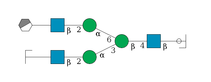 b1D-GlcNAc,p/#ccleavage--4b1D-GlcNAc,p--4b1D-Man,p(--3a1D-Man,p--2b1D-GlcNAc,p--?b1D-Gal,p/#zcleavage)--6a1D-Man,p--2b1D-GlcNAc,p--?b1D-Gal,p/#xcleavage_0_3$MONO,Und,-H,0,redEnd