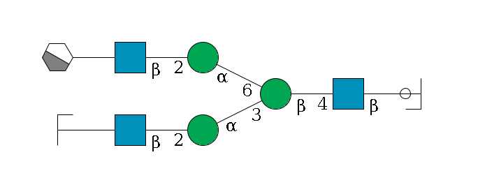 b1D-GlcNAc,p/#ccleavage--4b1D-GlcNAc,p--4b1D-Man,p(--3a1D-Man,p--2b1D-GlcNAc,p--?b1D-Gal,p/#zcleavage)--6a1D-Man,p--2b1D-GlcNAc,p--?b1D-Gal,p/#xcleavage_1_4$MONO,Und,-H,0,redEnd