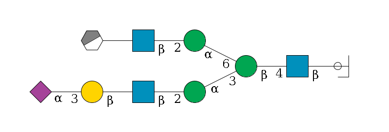 b1D-GlcNAc,p/#ccleavage--4b1D-GlcNAc,p--4b1D-Man,p(--3a1D-Man,p--2b1D-GlcNAc,p--?b1D-Gal,p--3a2D-NeuAc,p)--6a1D-Man,p--2b1D-GlcNAc,p--?b1D-Gal,p/#xcleavage_0_3$MONO,Und,-2H,0,redEnd