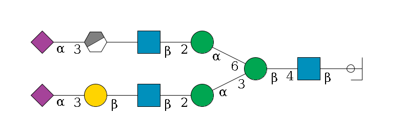 b1D-GlcNAc,p/#ccleavage--4b1D-GlcNAc,p--4b1D-Man,p(--3a1D-Man,p--2b1D-GlcNAc,p--?b1D-Gal,p--3a2D-NeuAc,p)--6a1D-Man,p--2b1D-GlcNAc,p--?b1D-Gal,p/#xcleavage_0_3--3a2D-NeuAc,p$MONO,Und,-2H,0,redEnd