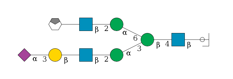 b1D-GlcNAc,p/#ccleavage--4b1D-GlcNAc,p--4b1D-Man,p(--3a1D-Man,p--2b1D-GlcNAc,p--?b1D-Gal,p--3a2D-NeuAc,p)--6a1D-Man,p--2b1D-GlcNAc,p--?b1D-Gal,p/#xcleavage_0_4$MONO,Und,-2H,0,redEnd