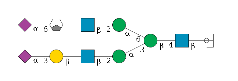 b1D-GlcNAc,p/#ccleavage--4b1D-GlcNAc,p--4b1D-Man,p(--3a1D-Man,p--2b1D-GlcNAc,p--?b1D-Gal,p--3a2D-NeuAc,p)--6a1D-Man,p--2b1D-GlcNAc,p--?b1D-Gal,p/#xcleavage_1_3--6a2D-NeuAc,p$MONO,Und,-2H,0,redEnd