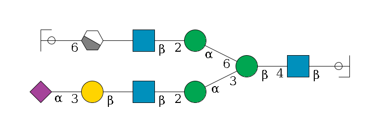 b1D-GlcNAc,p/#ccleavage--4b1D-GlcNAc,p--4b1D-Man,p(--3a1D-Man,p--2b1D-GlcNAc,p--?b1D-Gal,p--3a2D-NeuAc,p)--6a1D-Man,p--2b1D-GlcNAc,p--?b1D-Gal,p/#xcleavage_1_4--6a2D-NeuAc,p/#ycleavage$MONO,Und,-2H,0,redEnd