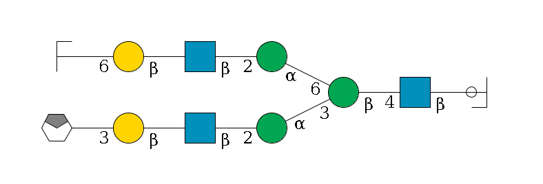b1D-GlcNAc,p/#ccleavage--4b1D-GlcNAc,p--4b1D-Man,p(--3a1D-Man,p--2b1D-GlcNAc,p--?b1D-Gal,p--3a2D-NeuAc,p/#xcleavage_0_4)--6a1D-Man,p--2b1D-GlcNAc,p--?b1D-Gal,p--6a2D-NeuAc,p/#zcleavage$MONO,Und,-H,0,redEnd