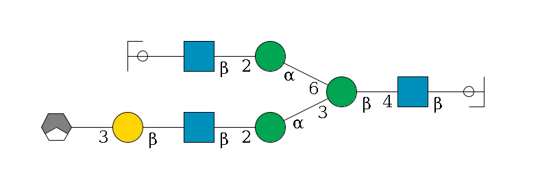 b1D-GlcNAc,p/#ccleavage--4b1D-GlcNAc,p--4b1D-Man,p(--3a1D-Man,p--2b1D-GlcNAc,p--?b1D-Gal,p--3a2D-NeuAc,p/#xcleavage_1_3)--6a1D-Man,p--2b1D-GlcNAc,p--?b1D-Gal,p/#ycleavage$MONO,Und,-H,0,redEnd