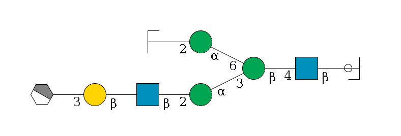 b1D-GlcNAc,p/#ccleavage--4b1D-GlcNAc,p--4b1D-Man,p(--3a1D-Man,p--2b1D-GlcNAc,p--?b1D-Gal,p--3a2D-NeuAc,p/#xcleavage_1_4)--6a1D-Man,p--2b1D-GlcNAc,p/#zcleavage$MONO,Und,-H,0,redEnd