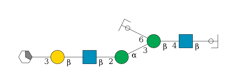 b1D-GlcNAc,p/#ccleavage--4b1D-GlcNAc,p--4b1D-Man,p(--3a1D-Man,p--2b1D-GlcNAc,p--?b1D-Gal,p--3a2D-NeuAc,p/#xcleavage_1_5)--6a1D-Man,p/#ycleavage$MONO,Und,-2H,0,redEnd