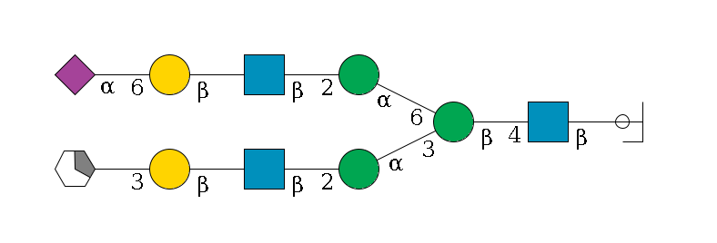 b1D-GlcNAc,p/#ccleavage--4b1D-GlcNAc,p--4b1D-Man,p(--3a1D-Man,p--2b1D-GlcNAc,p--?b1D-Gal,p--3a2D-NeuAc,p/#xcleavage_1_5)--6a1D-Man,p--2b1D-GlcNAc,p--?b1D-Gal,p--6a2D-NeuAc,p$MONO,Und,-2H,0,redEnd