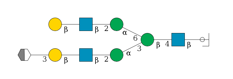 b1D-GlcNAc,p/#ccleavage--4b1D-GlcNAc,p--4b1D-Man,p(--3a1D-Man,p--2b1D-GlcNAc,p--?b1D-Gal,p--3a2D-NeuAc,p/#xcleavage_2_5)--6a1D-Man,p--2b1D-GlcNAc,p--?b1D-Gal,p$MONO,Und,-H,0,redEnd