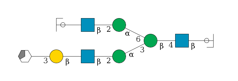 b1D-GlcNAc,p/#ccleavage--4b1D-GlcNAc,p--4b1D-Man,p(--3a1D-Man,p--2b1D-GlcNAc,p--?b1D-Gal,p--3a2D-NeuAc,p/#xcleavage_3_5)--6a1D-Man,p--2b1D-GlcNAc,p--?b1D-Gal,p/#ycleavage$MONO,Und,-H,0,redEnd
