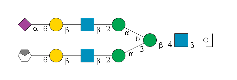 b1D-GlcNAc,p/#ccleavage--4b1D-GlcNAc,p--4b1D-Man,p(--3a1D-Man,p--2b1D-GlcNAc,p--?b1D-Gal,p--6a2D-NeuAc,p/#xcleavage_0_4)--6a1D-Man,p--2b1D-GlcNAc,p--?b1D-Gal,p--6a2D-NeuAc,p$MONO,Und,-2H,0,redEnd