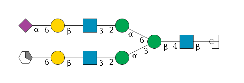 b1D-GlcNAc,p/#ccleavage--4b1D-GlcNAc,p--4b1D-Man,p(--3a1D-Man,p--2b1D-GlcNAc,p--?b1D-Gal,p--6a2D-NeuAc,p/#xcleavage_1_5)--6a1D-Man,p--2b1D-GlcNAc,p--?b1D-Gal,p--6a2D-NeuAc,p$MONO,Und,-2H,0,redEnd