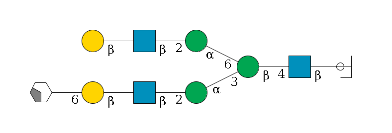 b1D-GlcNAc,p/#ccleavage--4b1D-GlcNAc,p--4b1D-Man,p(--3a1D-Man,p--2b1D-GlcNAc,p--?b1D-Gal,p--6a2D-NeuAc,p/#xcleavage_2_4)--6a1D-Man,p--2b1D-GlcNAc,p--?b1D-Gal,p$MONO,Und,-H,0,redEnd