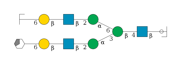 b1D-GlcNAc,p/#ccleavage--4b1D-GlcNAc,p--4b1D-Man,p(--3a1D-Man,p--2b1D-GlcNAc,p--?b1D-Gal,p--6a2D-NeuAc,p/#xcleavage_3_5)--6a1D-Man,p--2b1D-GlcNAc,p--?b1D-Gal,p--6a2D-NeuAc,p/#zcleavage$MONO,Und,-H,0,redEnd