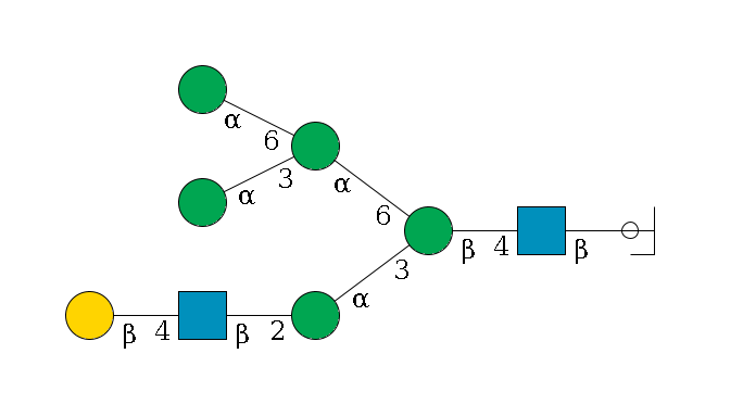 b1D-GlcNAc,p/#ccleavage--4b1D-GlcNAc,p--4b1D-Man,p(--3a1D-Man,p--2b1D-GlcNAc,p--4b1D-Gal,p)--6a1D-Man,p(--3a1D-Man,p)--6a1D-Man,p$MONO,Und,-2H,0,redEnd